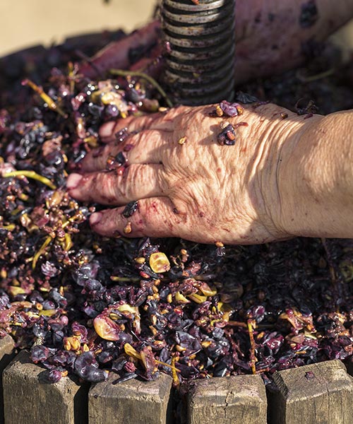 Gastronomía local y tradición culinaria