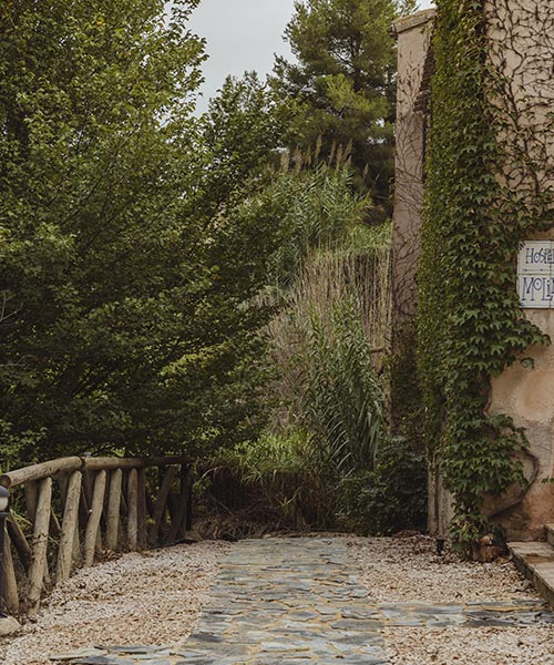 Paisaje, naturaleza y ritmo rural