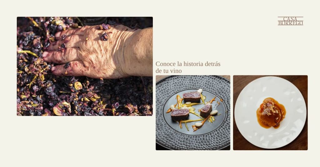 Uvas durante el proceso de elaboración del vino junto a platos gastronómicos en Bullas, Murcia